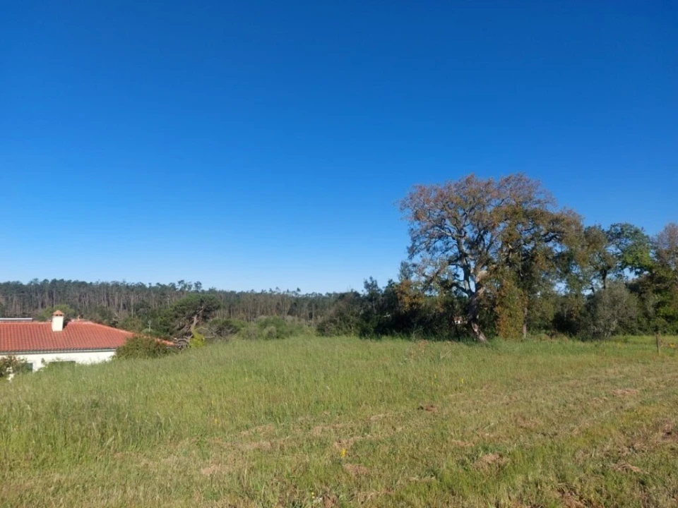 Terreno para Venda em Monte Redondo e Carreira Foto 2