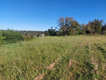 Terreno para Venda em Monte Redondo e Carreira
