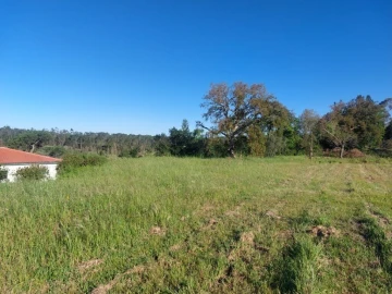 Terreno para Venda em Monte Redondo e Carreira