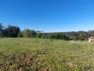 Terreno para Venda em Monte Redondo e Carreira