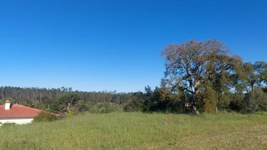 Terreno para Venda em Monte Redondo e Carreira