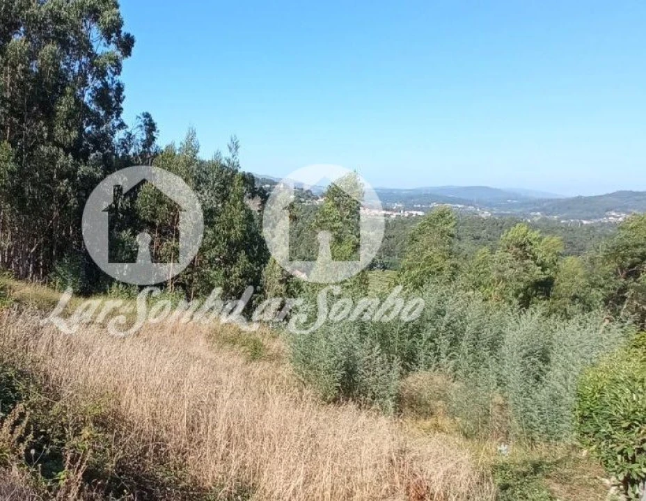 Terreno para Venda em Quintiães e Aguiar Foto 1