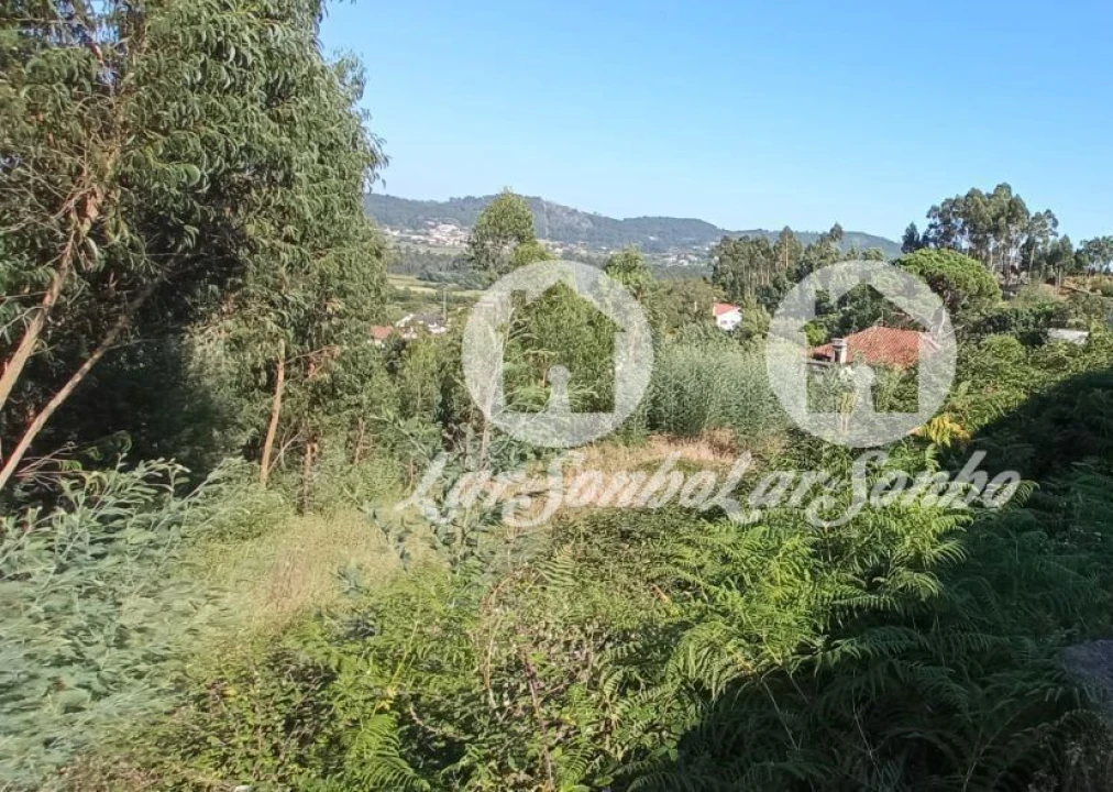 Terreno para Venda em Quintiães e Aguiar Foto 5