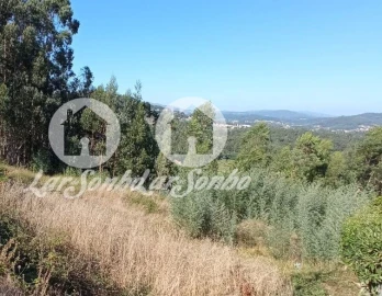 Terreno para Venda em Quintiães e Aguiar