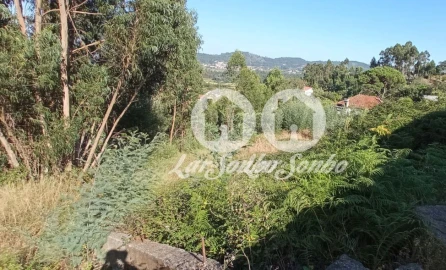 Terreno para Venda em Quintiães e Aguiar