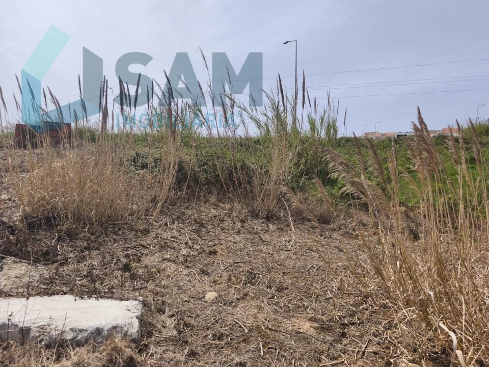 Terreno para Venda em Lourinhã e Atalaia Foto 7