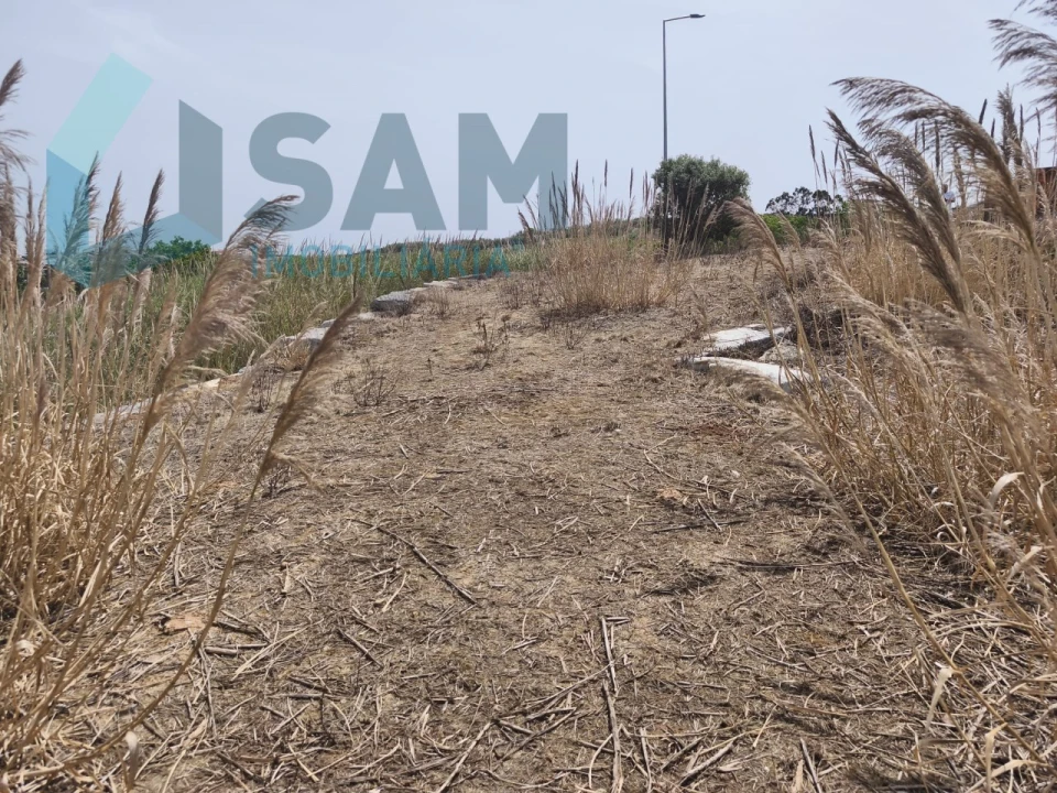 Terreno para Venda em Lourinhã e Atalaia Foto 8