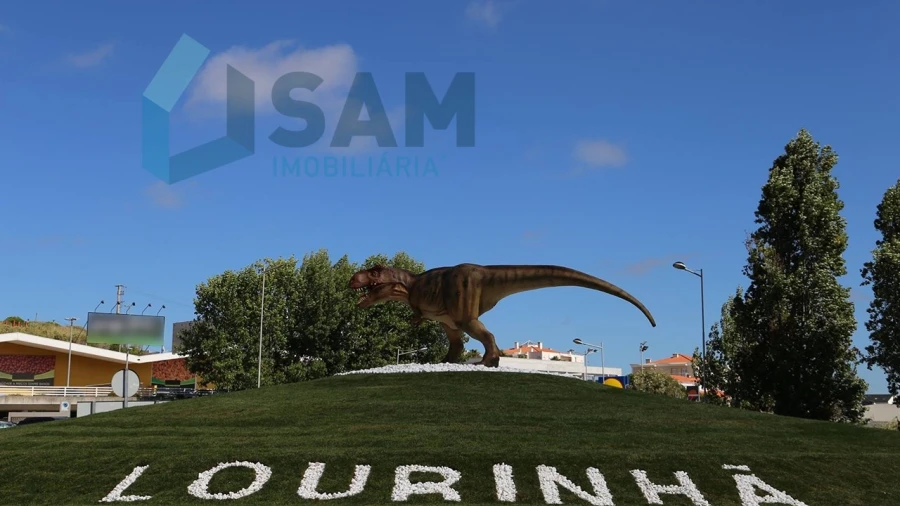 Terreno para Venda em Lourinhã e Atalaia Foto 10