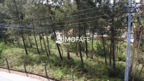 Terreno para Venda em Regadas