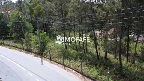Terreno para Venda em Regadas