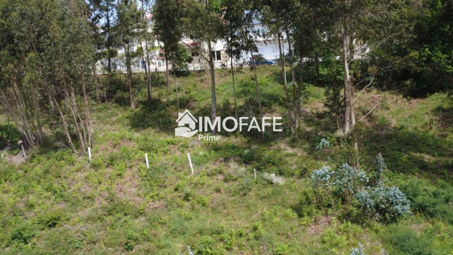 Terreno para Venda em Regadas Foto 7