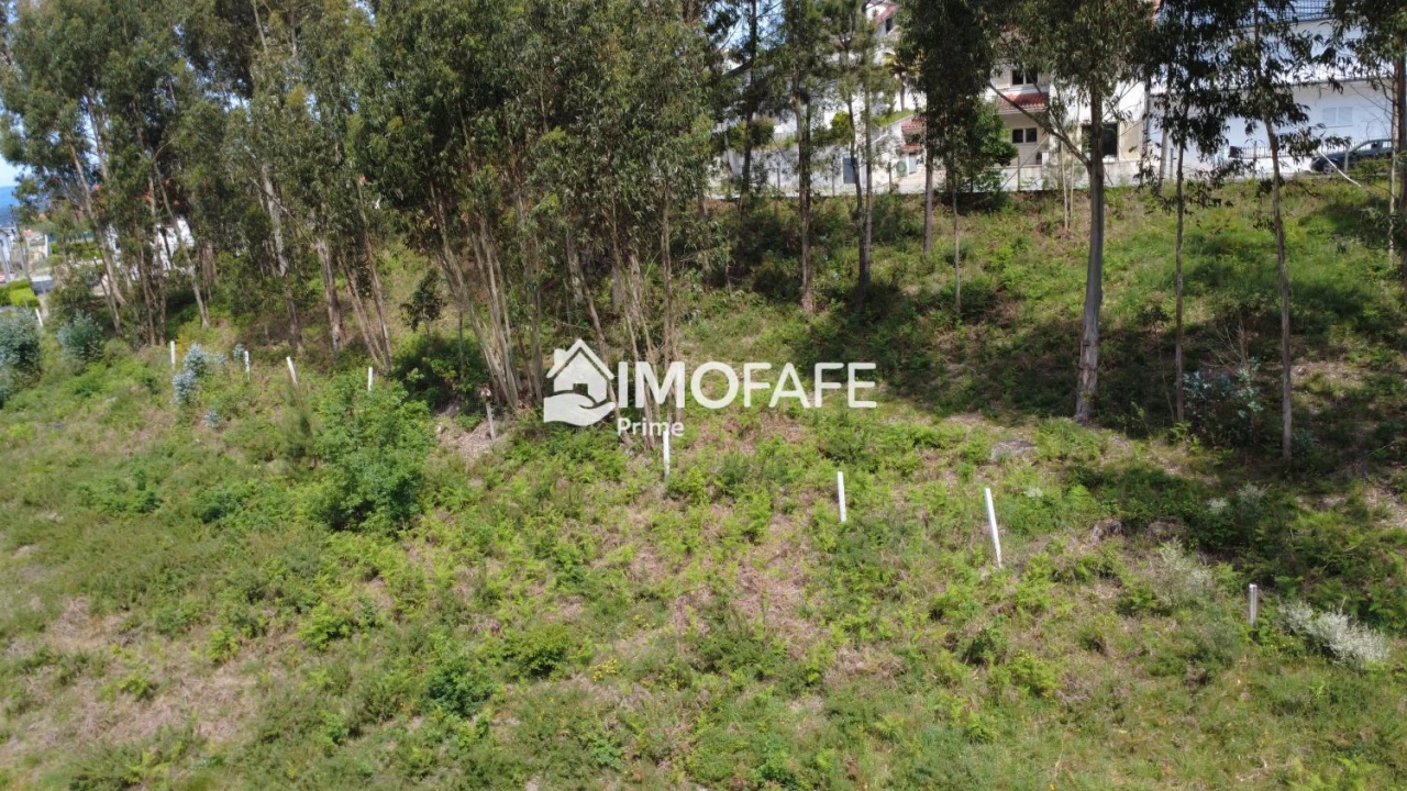 Terreno para Venda em Regadas Foto 8
