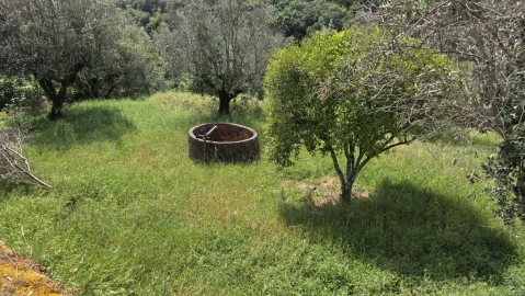 Moradia T2 para Venda em Chãos