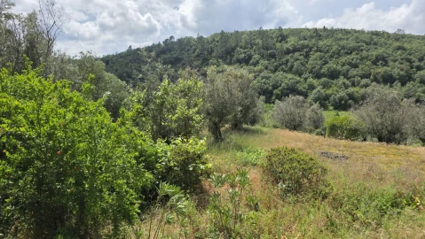 Moradia T2 para Venda em Chãos