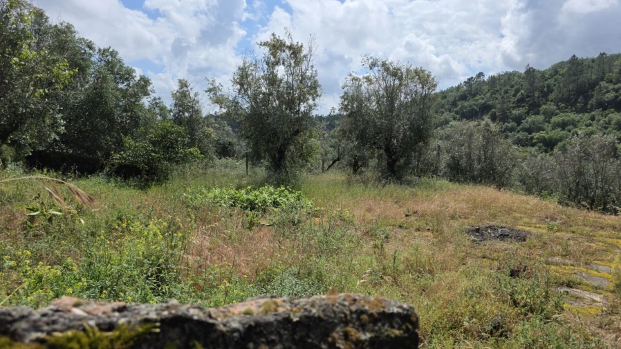 Moradia T2 para Venda em Chãos Foto 53