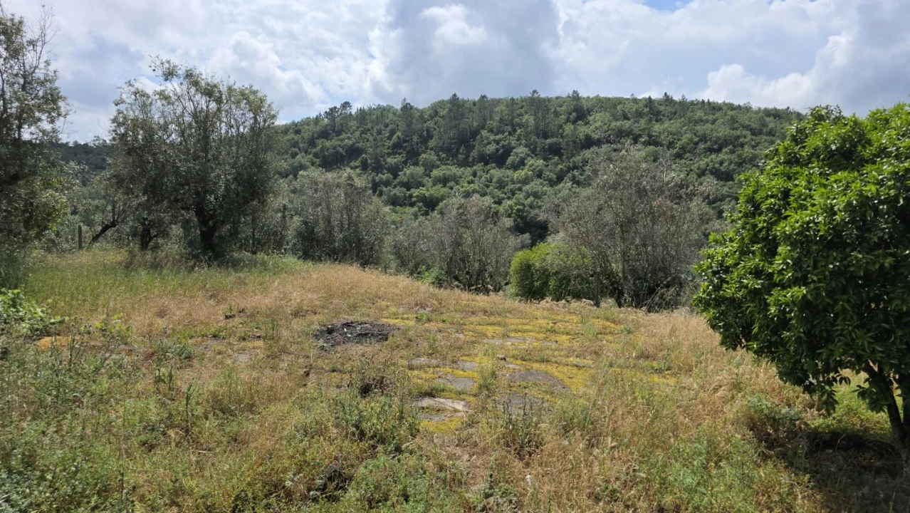 Moradia T2 para Venda em Chãos Foto 54