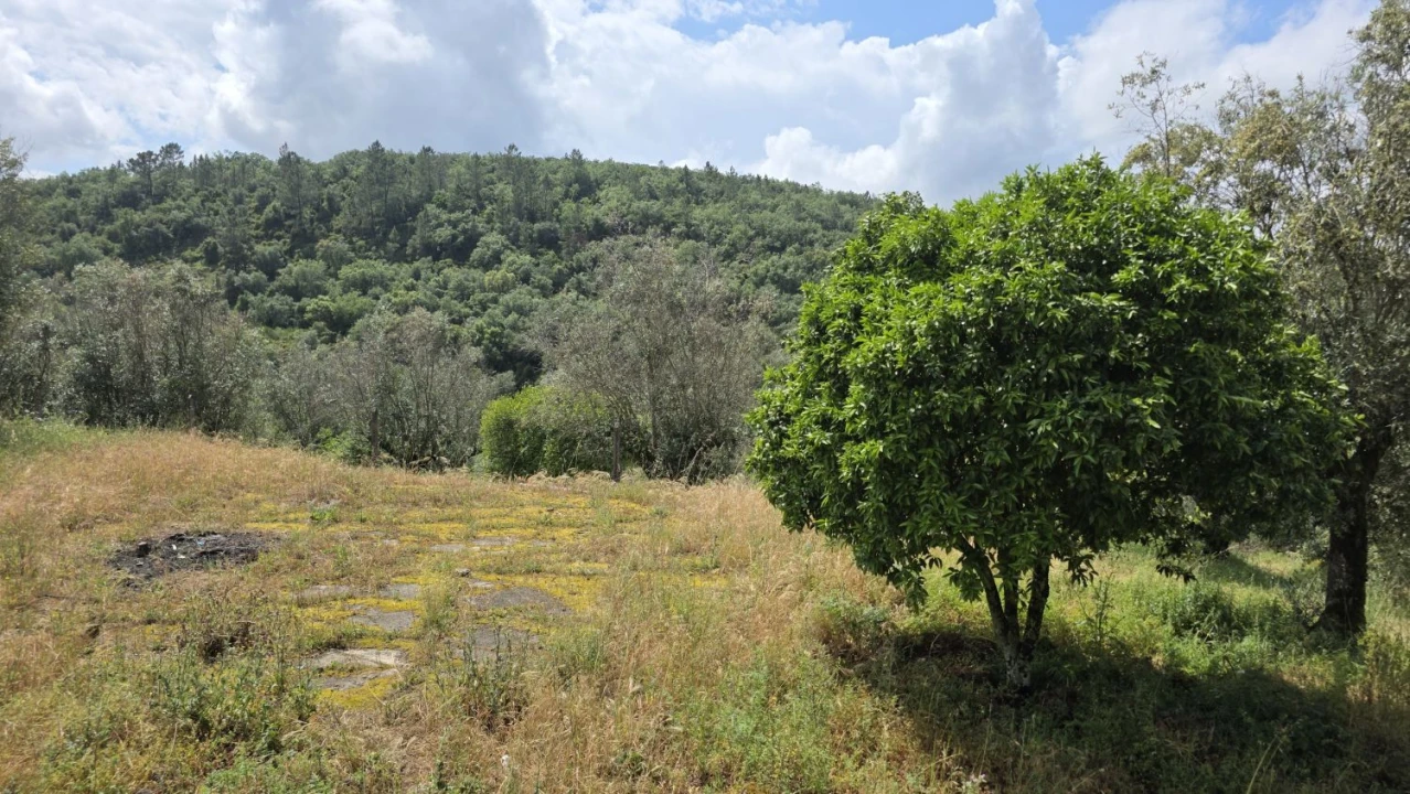 Moradia T2 para Venda em Chãos Foto 55