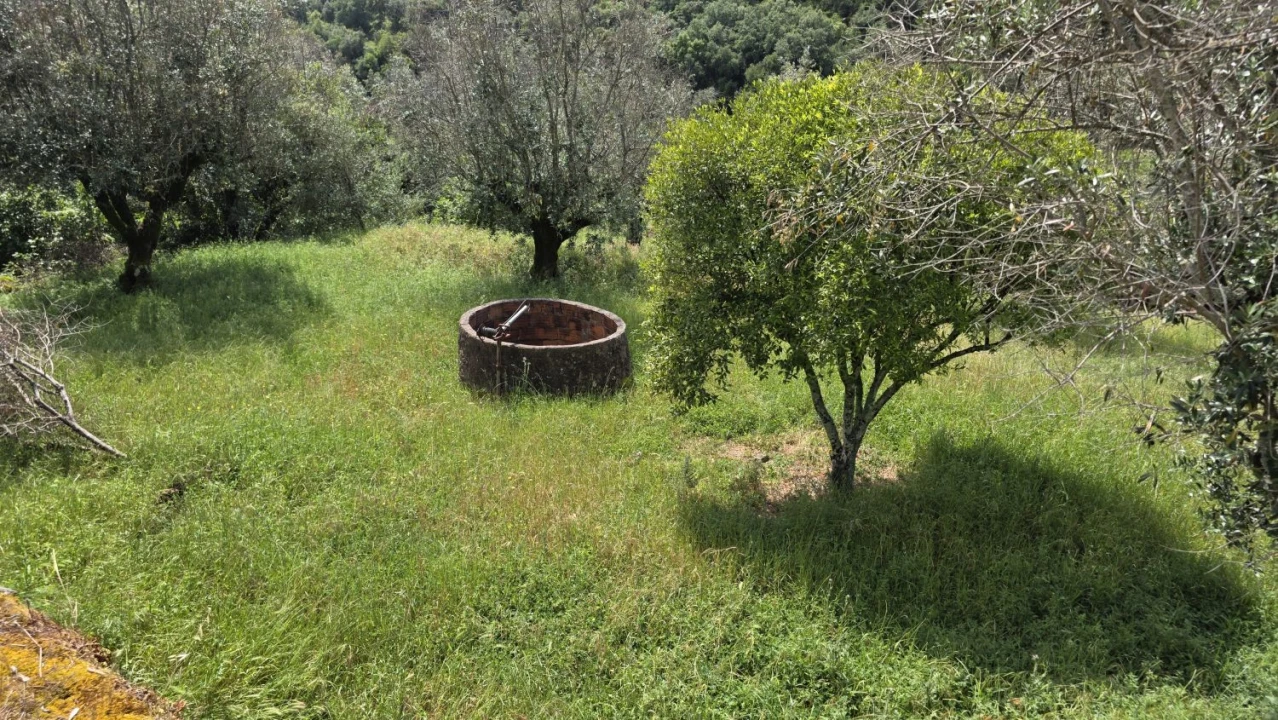 Moradia T2 para Venda em Chãos Foto 56