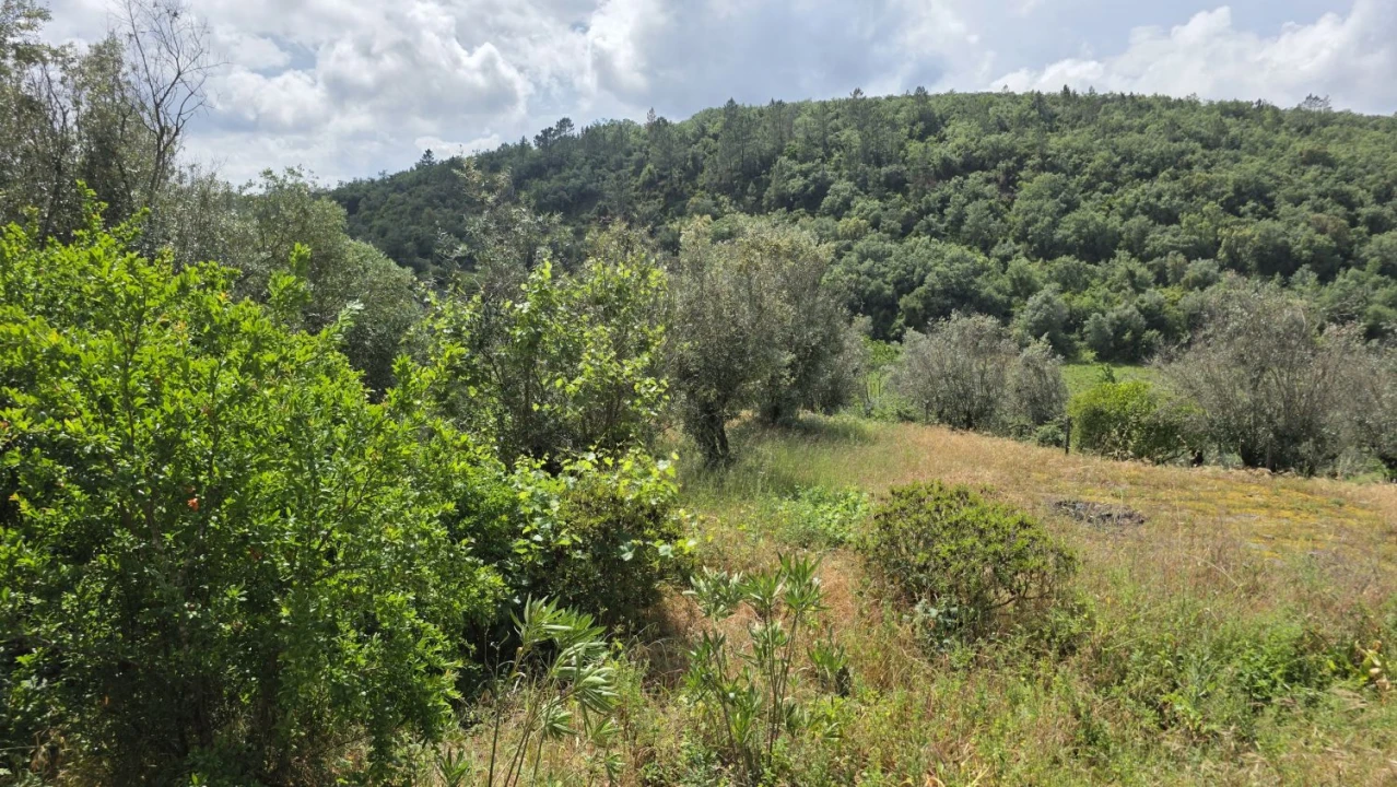 Moradia T2 para Venda em Chãos Foto 41