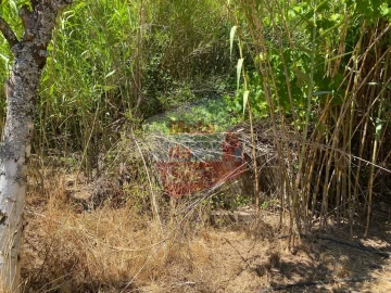 Quinta T2 para Venda em Santiago do Cacém, Santa Cruz e São Bartolomeu da Serra