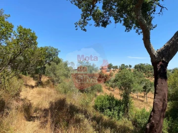 Quinta T2 para Venda em Santiago do Cacém, Santa Cruz e São Bartolomeu da Serra
