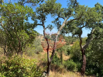 Quinta T2 para Venda em Santiago do Cacém, Santa Cruz e São Bartolomeu da Serra