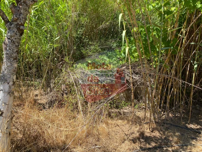 Quinta T2 para Venda em Santiago do Cacém, Santa Cruz e São Bartolomeu da Serra Foto 13