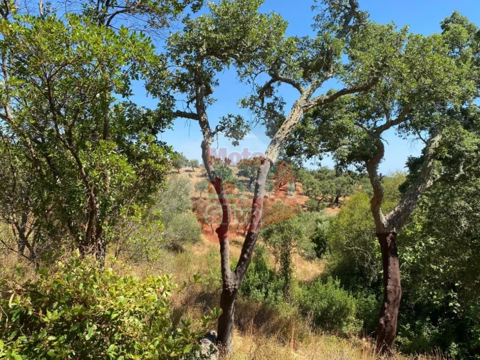 Quinta T2 para Venda em Santiago do Cacém, Santa Cruz e São Bartolomeu da Serra Foto 12