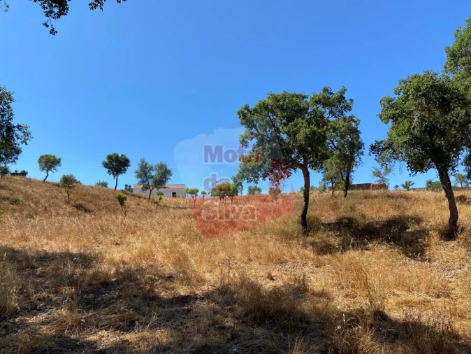 Quinta T2 para Venda em Santiago do Cacém, Santa Cruz e São Bartolomeu da Serra Foto 9