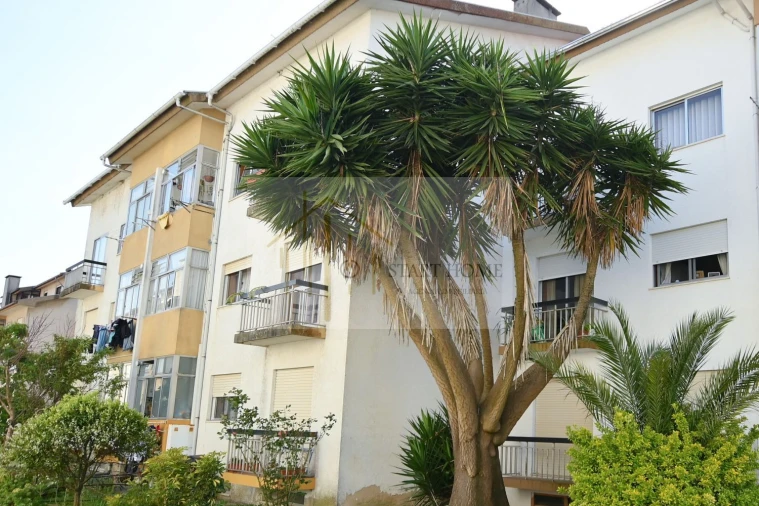 Apartamento T3 para Venda em Ovar, São João, Arada e São Vicente de Pereira Jusã Foto 46