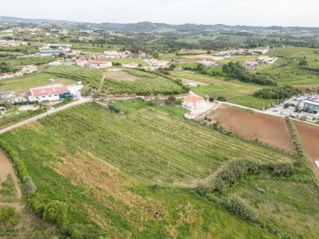 Terreno para Venda em Evora de Alcobaça