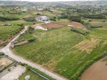 Terreno para Venda em Evora de Alcobaça