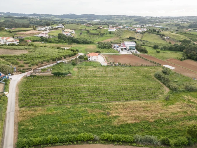 Terreno para Venda em Evora de Alcobaça Foto 9