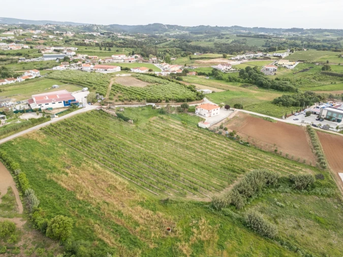 Terreno para Venda em Evora de Alcobaça Foto 6