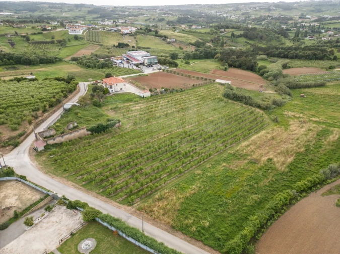 Terreno para Venda em Evora de Alcobaça Foto 11
