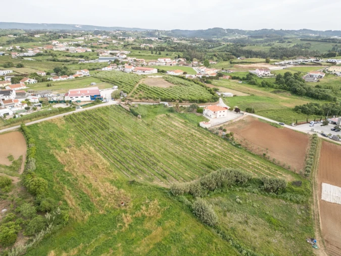 Terreno para Venda em Evora de Alcobaça Foto 2