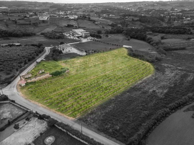 Terreno para Venda em Evora de Alcobaça Foto 3