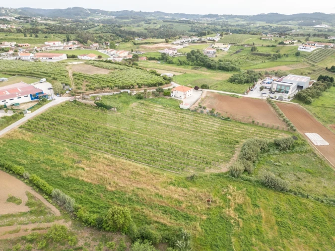 Terreno para Venda em Evora de Alcobaça Foto 8