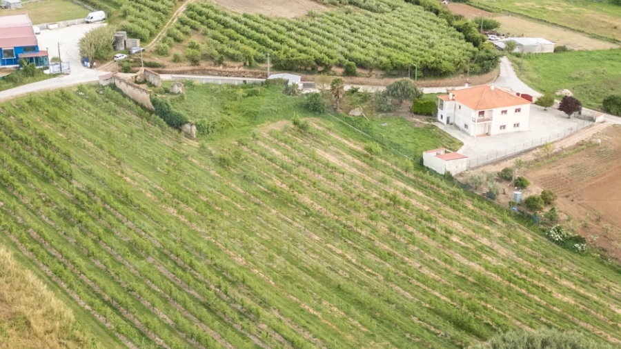 Terreno para Venda em Evora de Alcobaça