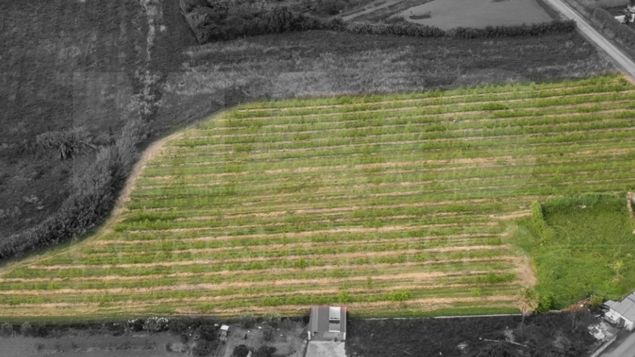 Terreno para Venda em Evora de Alcobaça