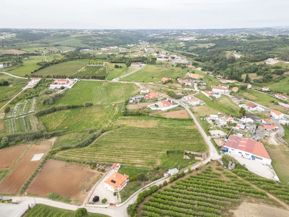 Terreno para Venda em Evora de Alcobaça Foto 12