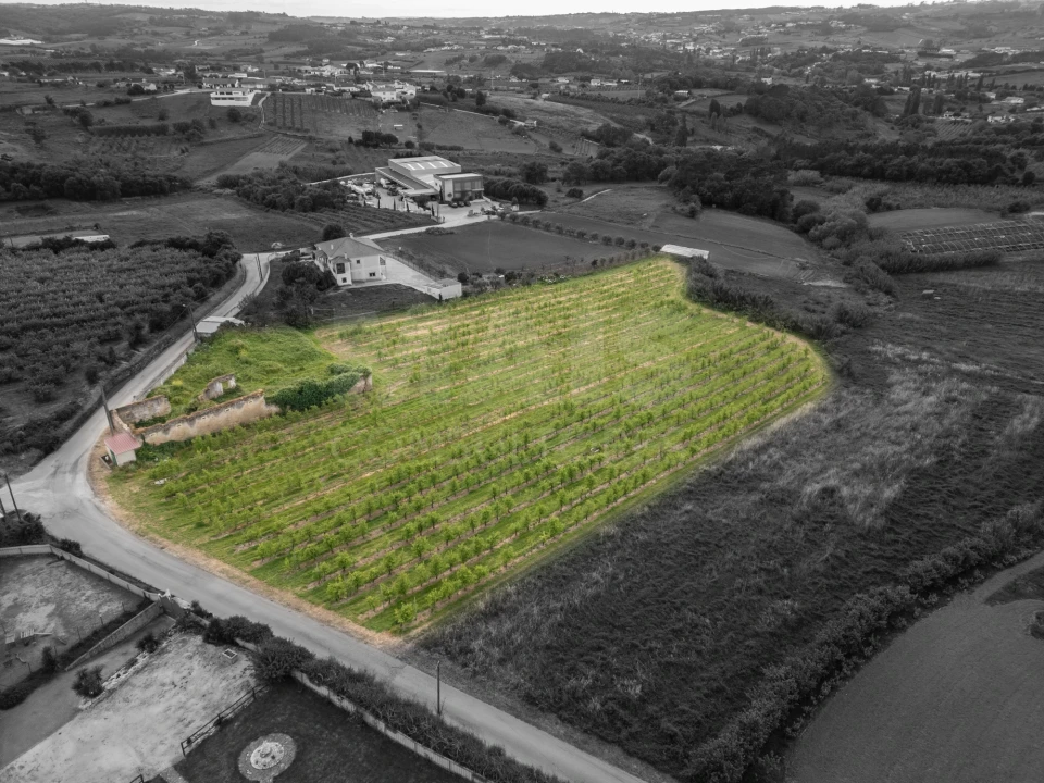 Terreno para Venda em Evora de Alcobaça Foto 3