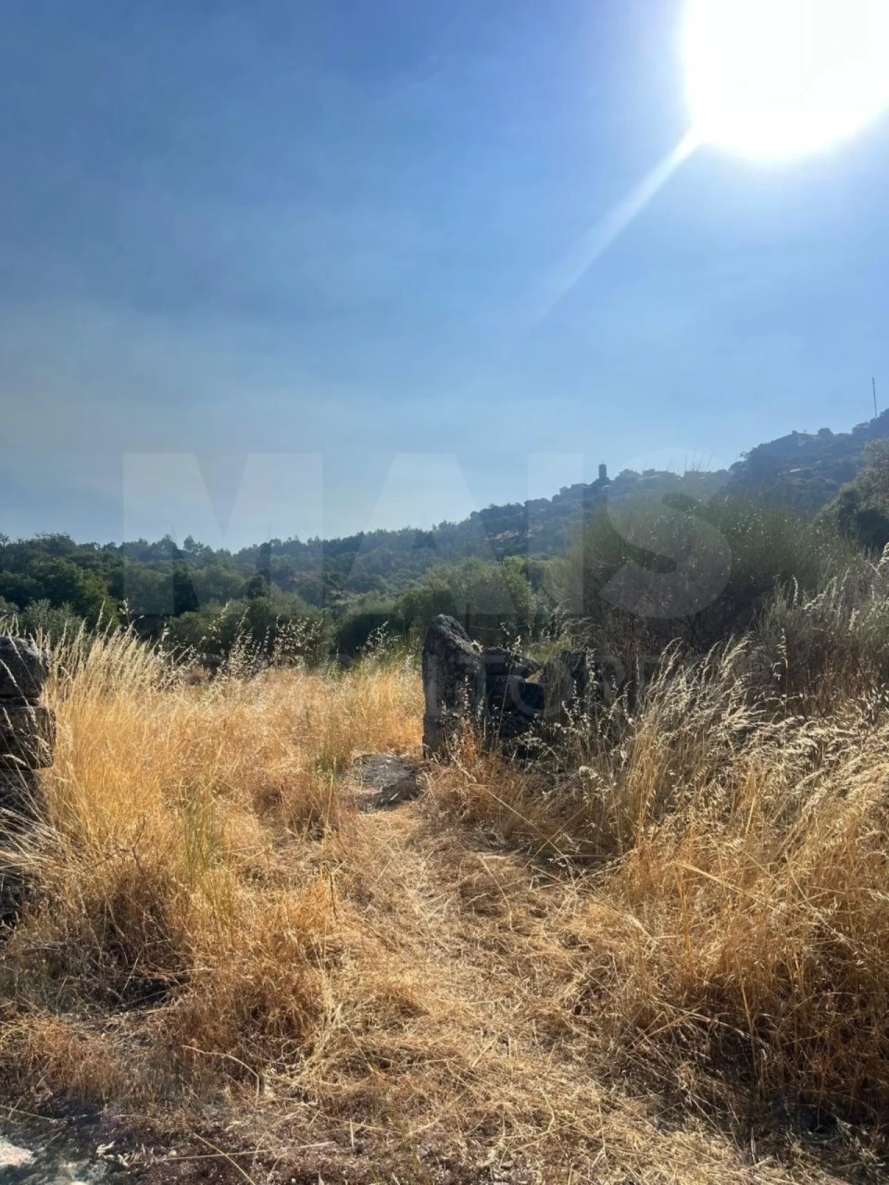 Terreno para Venda em Monsanto e Idanha-A-Velha Foto 2