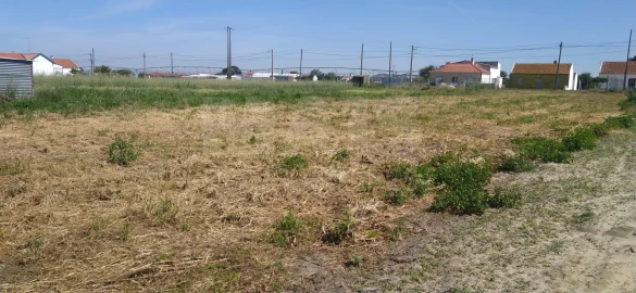 Moradia T1 para Venda em Salvaterra de Magos e Foros de Salvaterra