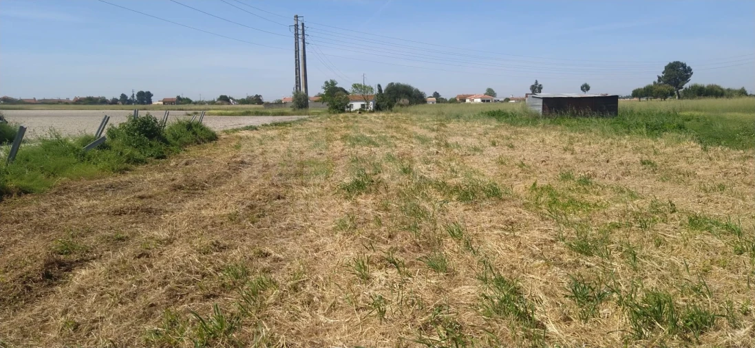 Moradia T1 para Venda em Salvaterra de Magos e Foros de Salvaterra Foto 2