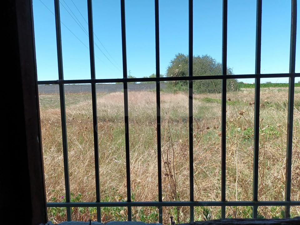 Moradia T1 para Venda em Salvaterra de Magos e Foros de Salvaterra Foto 8