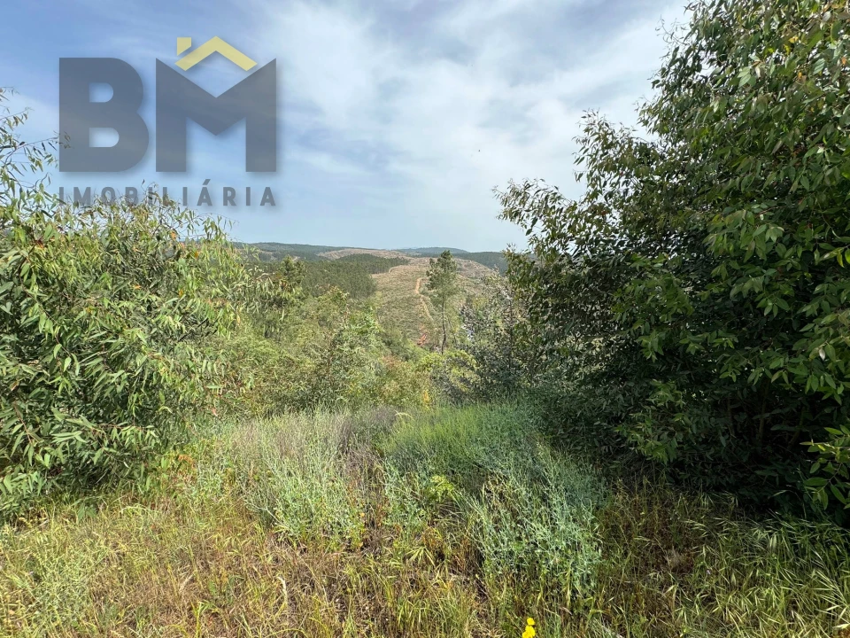 Terreno Agricola ou Rústico para Venda em Castelo Branco Foto 6
