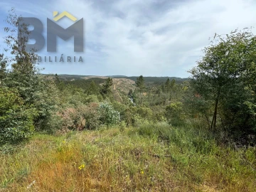 Terreno Agricola ou Rústico para Venda em Castelo Branco
