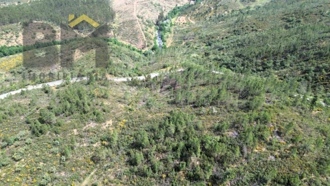 Terreno Agricola ou Rústico para Venda em Castelo Branco