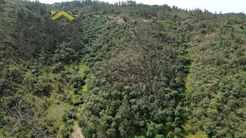 Terreno Agricola ou Rústico para Venda em Castelo Branco